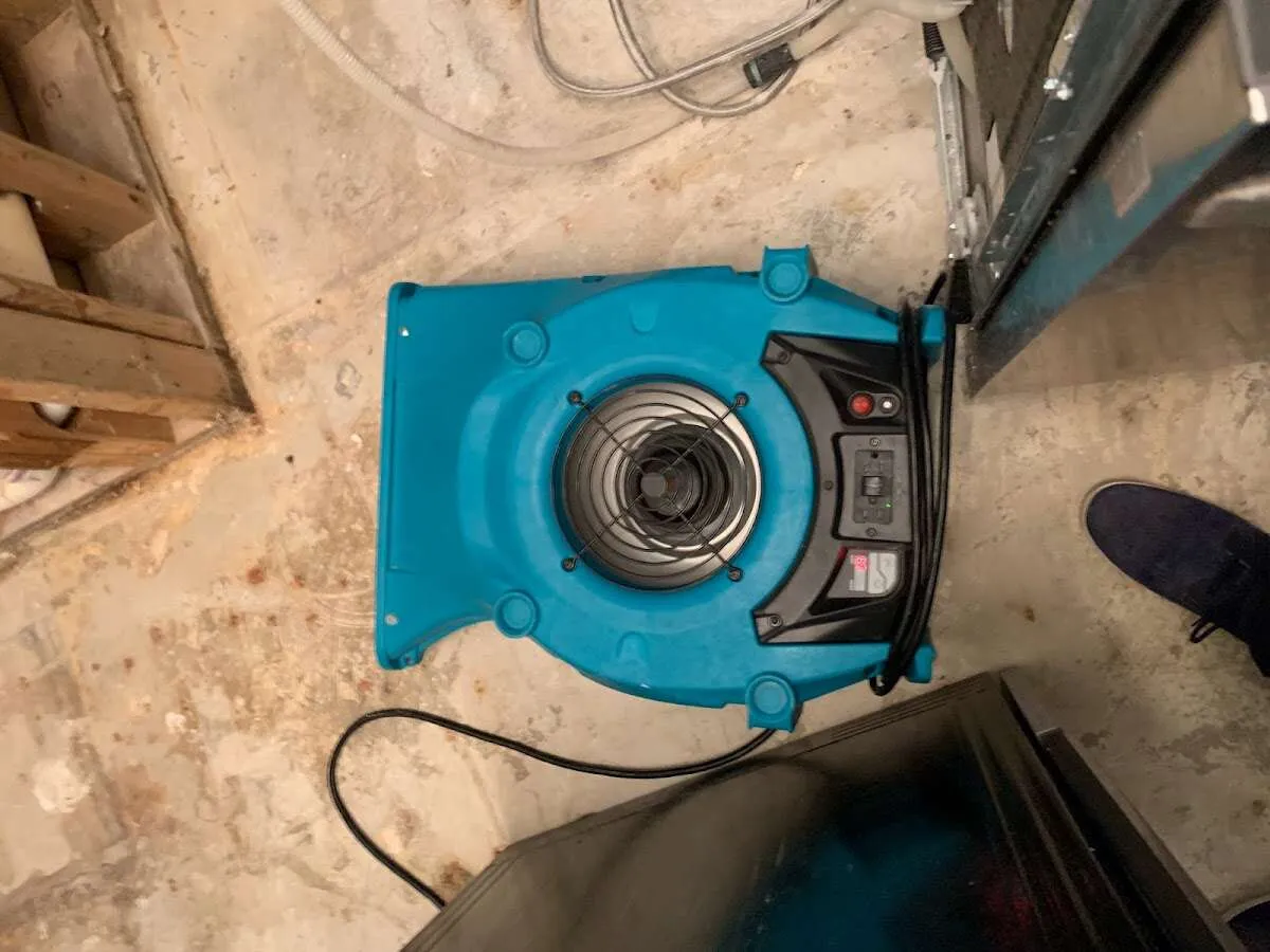 Air mover drying equipment for Mold Remediation & Removal in Lafayette